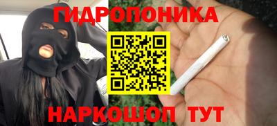 мяу мяу мука Краснознаменск