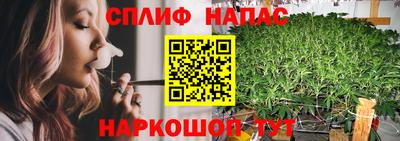 мяу мяу мука Краснознаменск