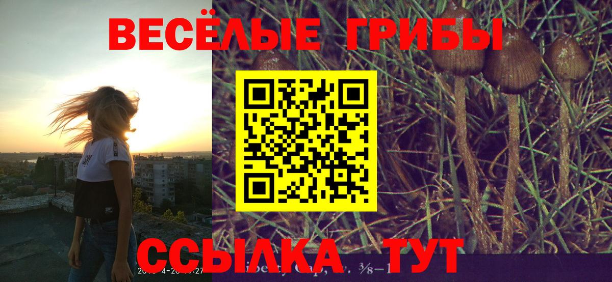 Лабинск  Галлюциногенные грибы мицелий  Вход с VPN 
