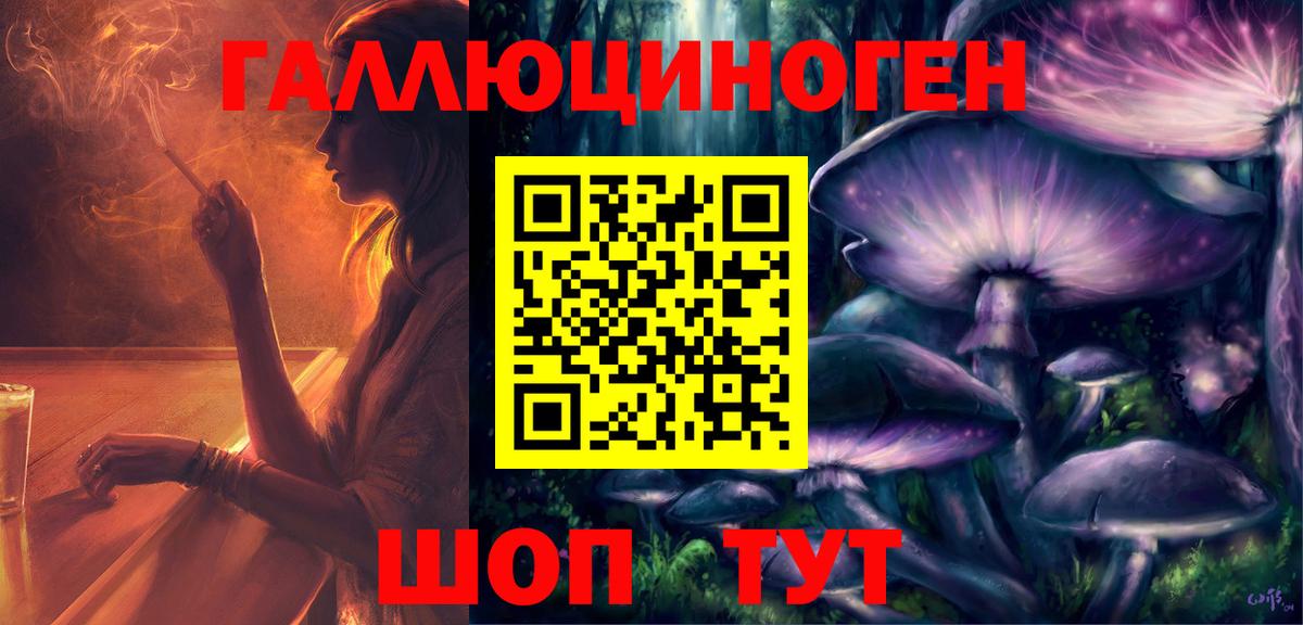 Галлюциногенные грибы Psilocybe Лабинск